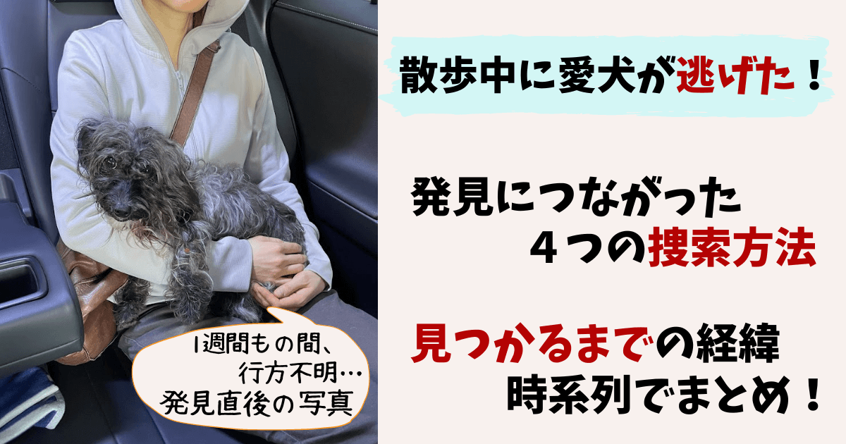 散歩中に犬が逃げた 犬を見つけるまでの経過と発見につながった要因とは フツーのolおひとりさま 犬三匹とローコスト住宅で暮らす