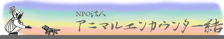 犬,多頭飼い,迷子犬,いなくなった,犬の探し方,脱走,迷子犬の行動パターン,札幌,逃げた,帰ってこない,操作方法,小型犬