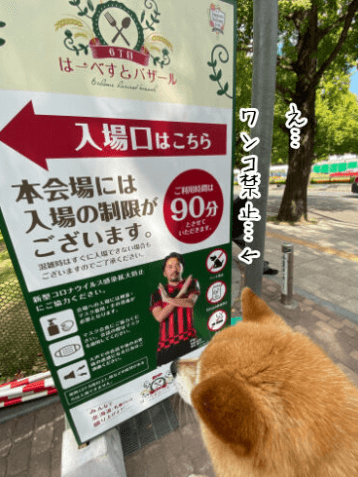 犬,札幌オータムフェスト,さっぽろオータムフェスト2022,オータムフェスト,カレー,ラーメン,犬OK
