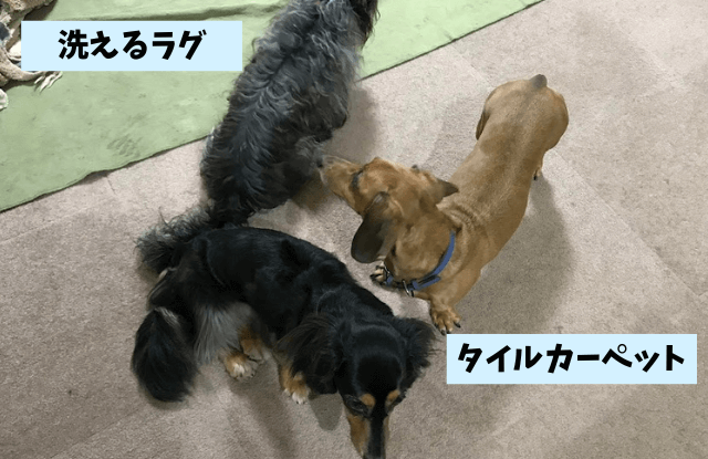 犬と暮らす家,アイディア,工夫,ドッグスペース,間取り,犬,多頭飼い