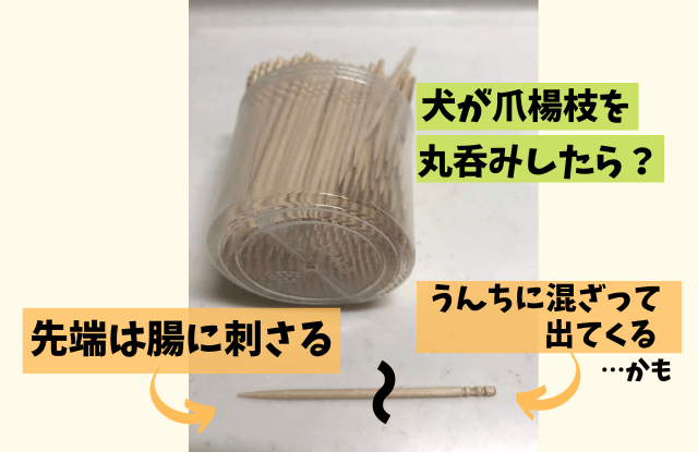 犬,爪楊枝,丸呑み,半分,食べた,チワワ,対処法